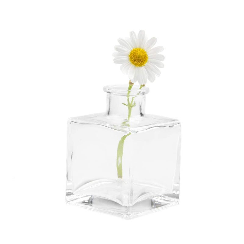 CHIVE â€˜Loftâ€™ Small Mini Flower Vases - Clear Glass Bud Vases, Set of 10 - Cute Vintage Rustic Centerpieces for Wedding, Events & Home - Premium Quality, Designed to Last - Image 5
